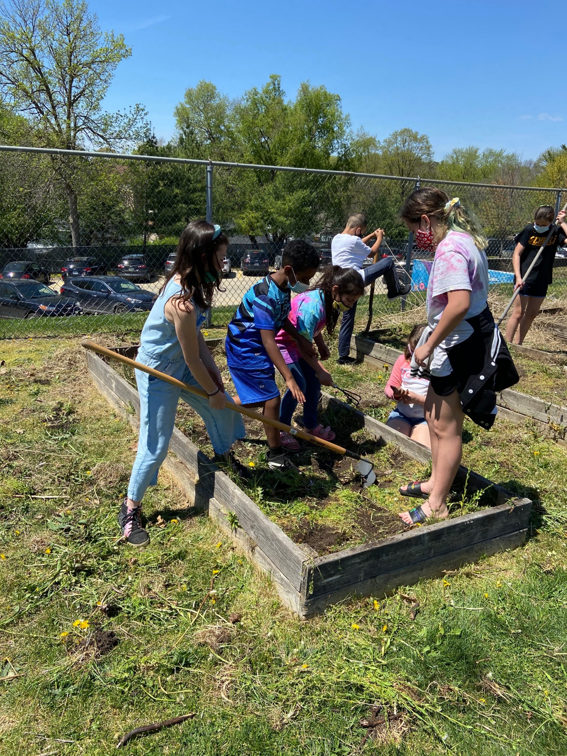 Garden Donations - Windsor Elementary School